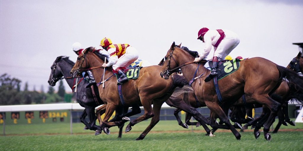 courses de chevaux