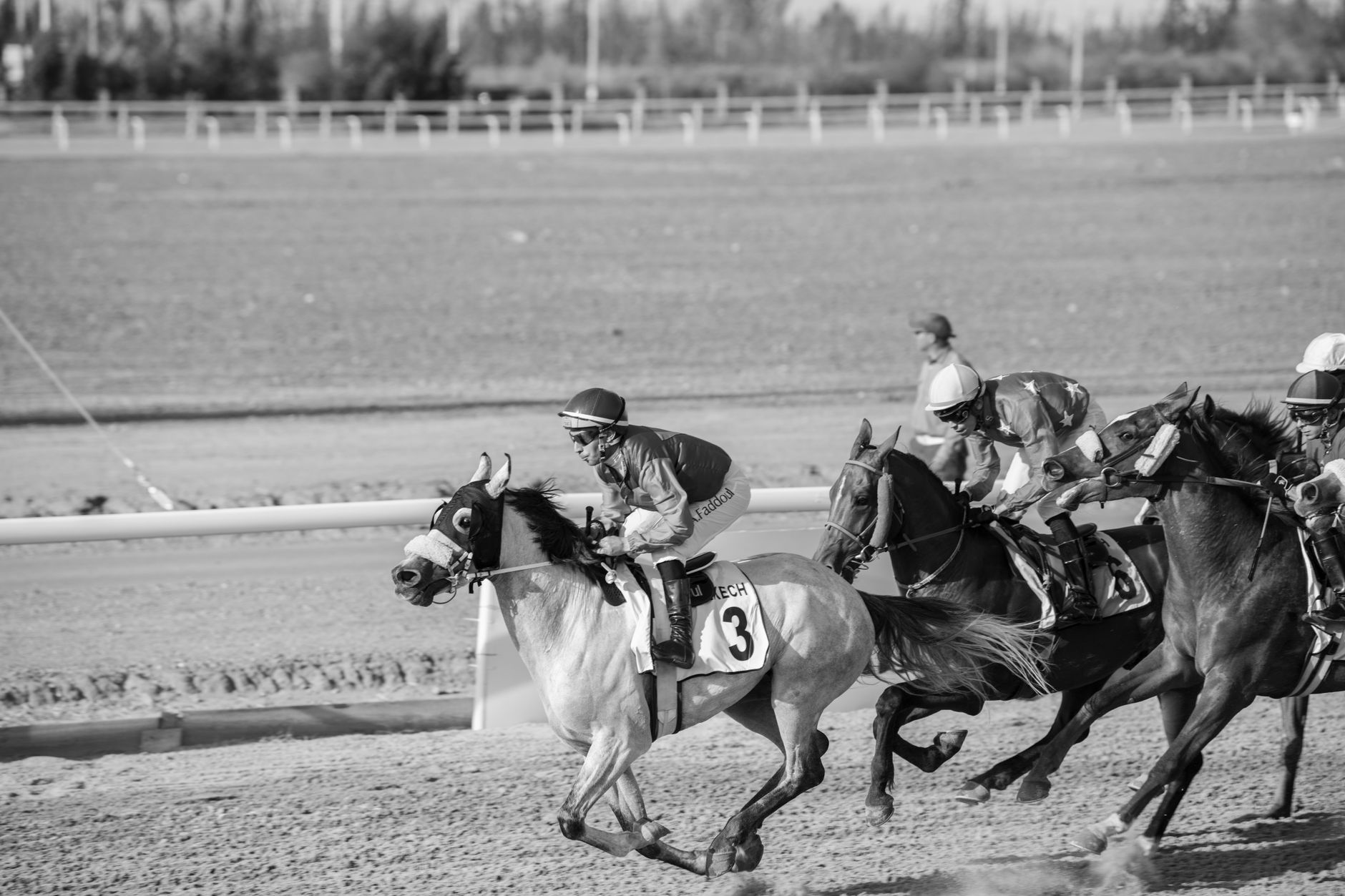 Les chevaux qui pourraient surprendre au Prix Eucharist