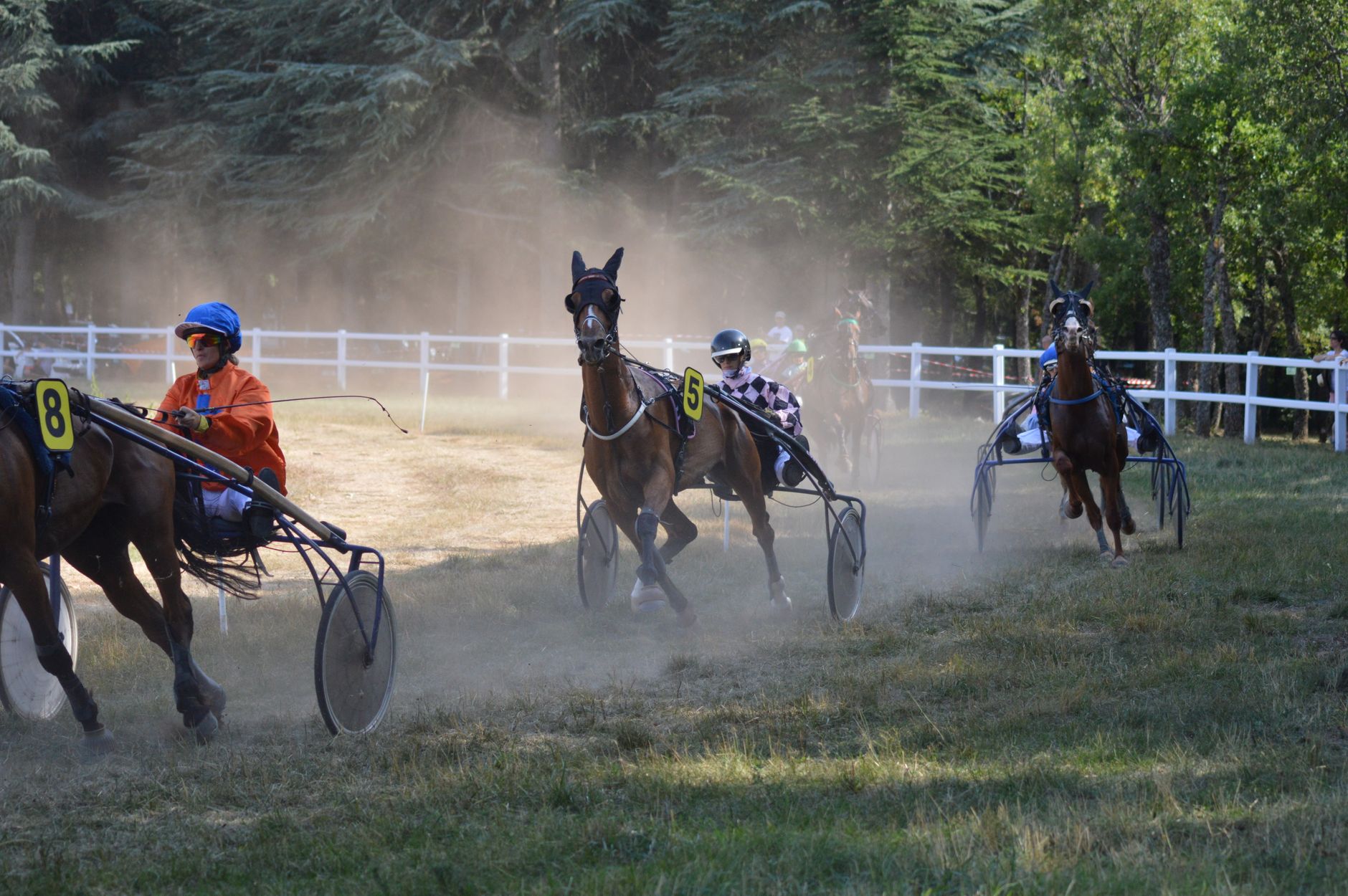 Les chevaux à surveiller pour le Prix Jean Bart : révélations inattendues