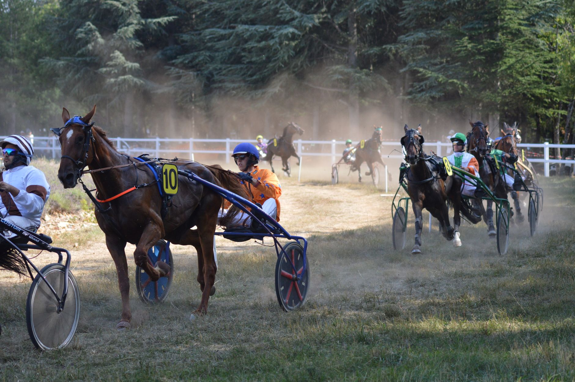 Prix Algorah 2026 : ces outsiders à Paris-Vincennes pourraient tout changer