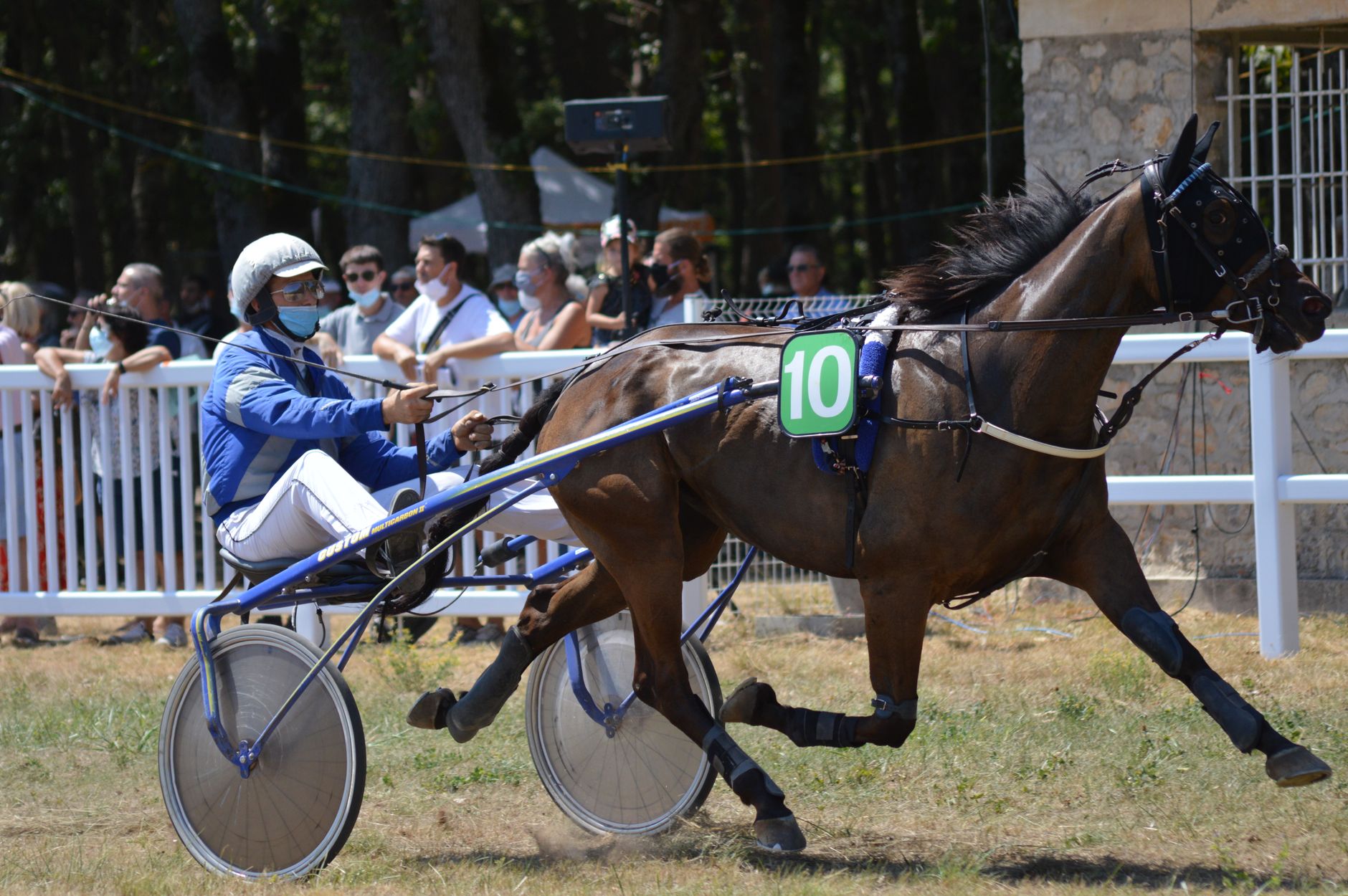Prix de la Basse Automne 2026 : les favoris qui pourraient surprendre à Compiègne