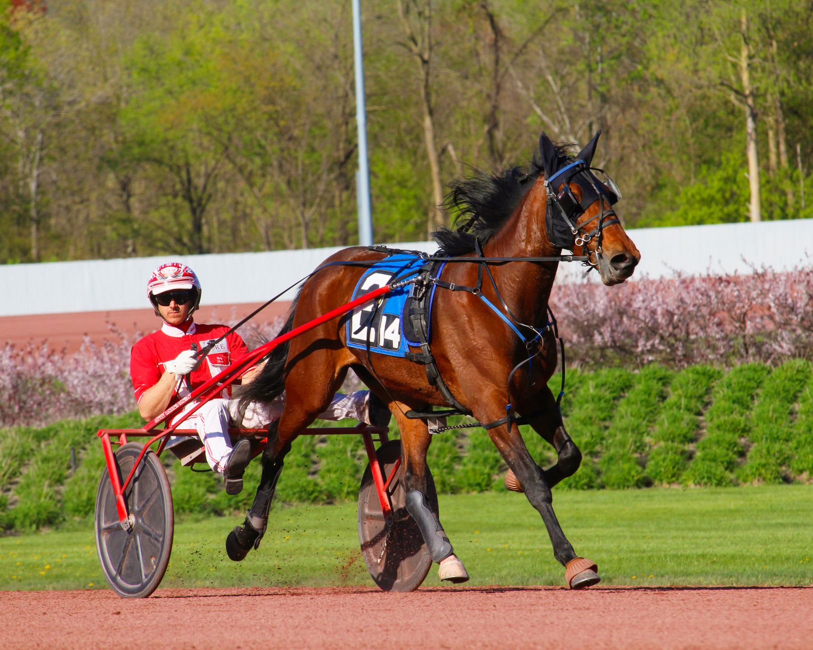 Les chevaux à suivre aujourd'hui pour maximiser vos gains