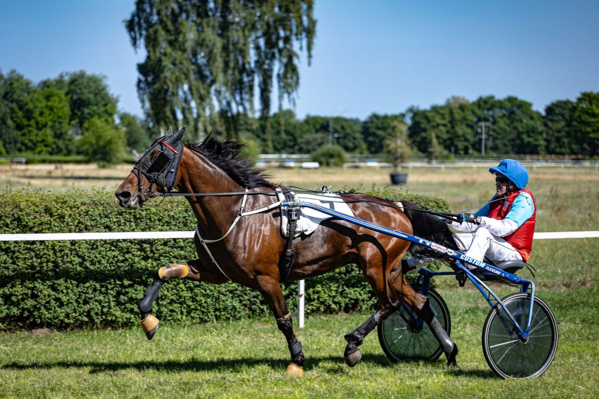 Pourquoi Zeloro pourrait bien surprendre à Chantilly ?
