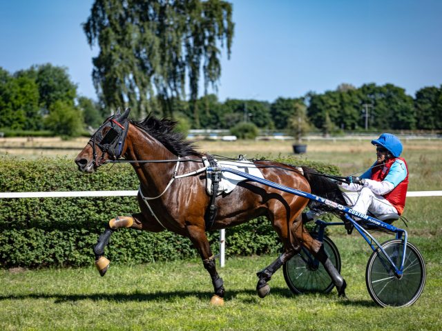 Pourquoi Zeloro pourrait bien surprendre à Chantilly ?