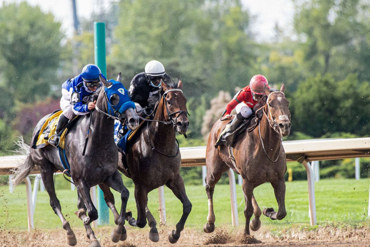 Les chevaux outsiders à suivre pour le Prix de la Chambre du Duc