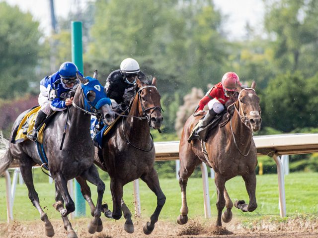 Les chevaux outsiders à suivre pour le Prix de la Chambre du Duc