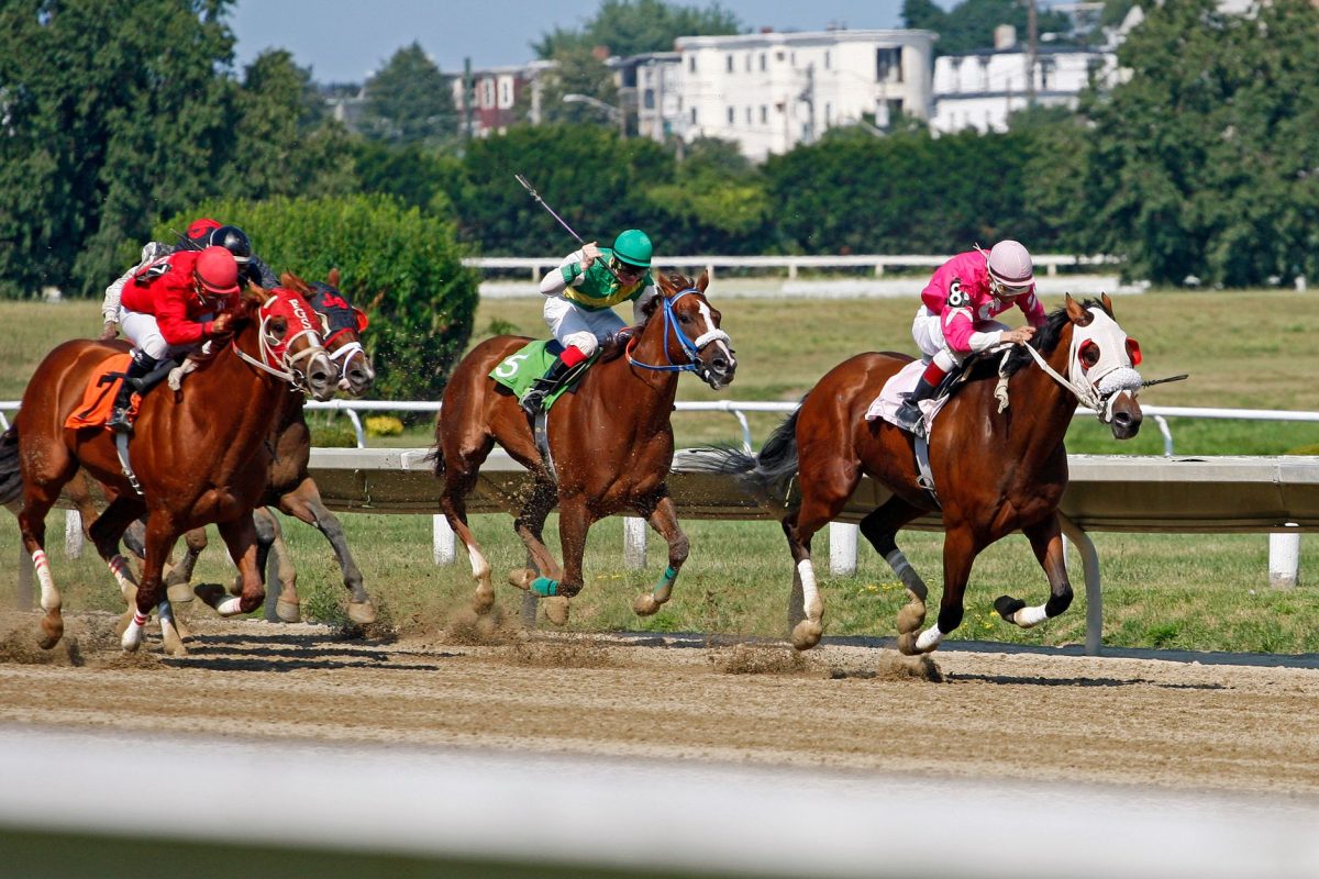 Analyse des chevaux à surveiller pour le Prix Pallanche Constructions du 16 septembre 2026