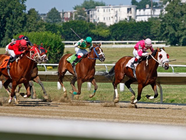 Analyse des chevaux à surveiller pour le Prix Pallanche Constructions du 16 septembre 2026