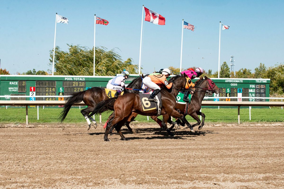 Les chevaux qui pourraient surprendre au Prix Eucharist