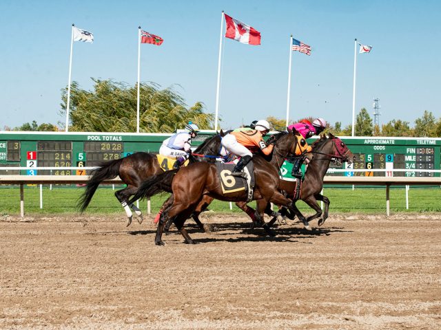 Les chevaux qui pourraient surprendre au Prix Eucharist