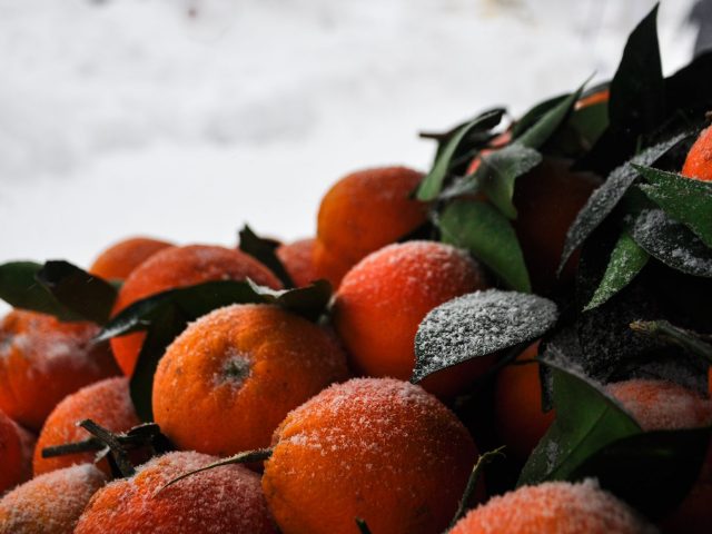 Préparez votre organisme pour l’hiver : conseils essentiels