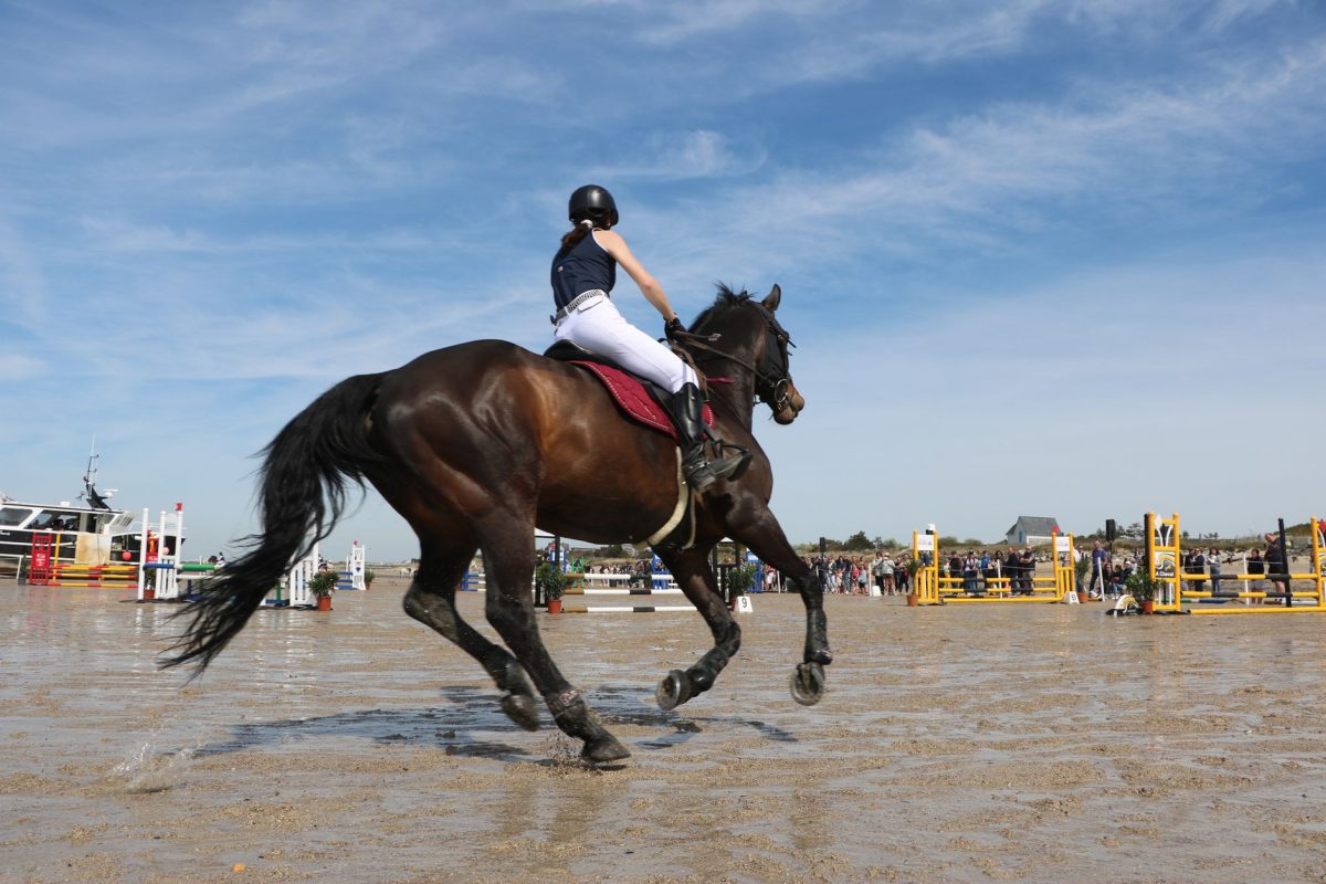 Guide pratique pour parier sur les chevaux