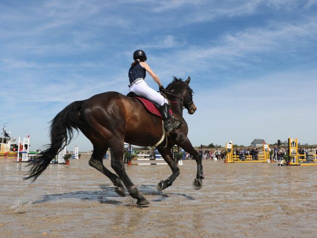 Guide pratique pour parier sur les chevaux