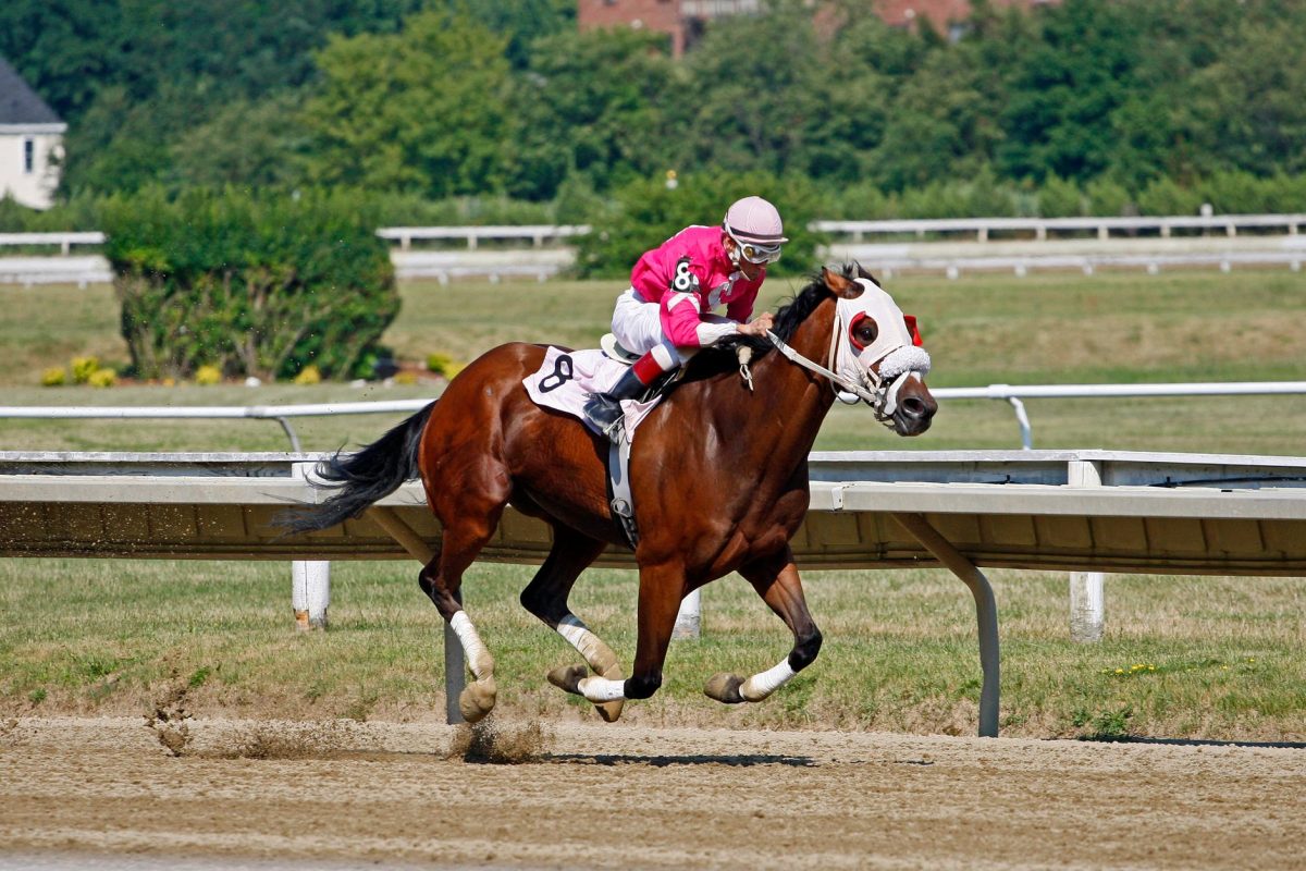 Les chevaux à surveiller pour le Prix Jean Bart : révélations inattendues