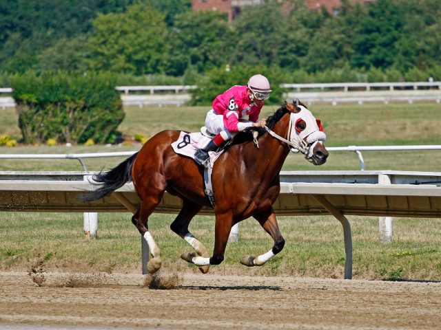 Les chevaux à surveiller pour le Prix Jean Bart : révélations inattendues