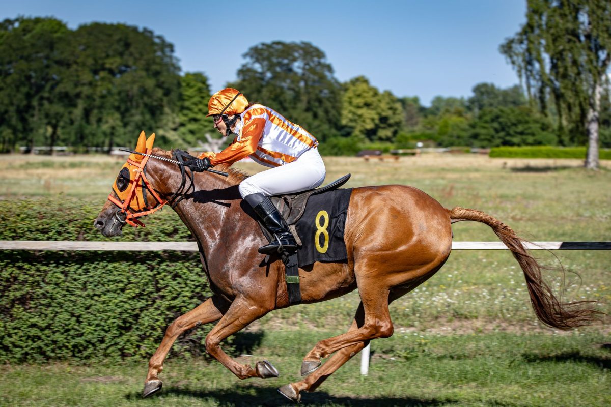Prix de Mortain : quels chevaux dominent et quelles sont leurs cotes ?