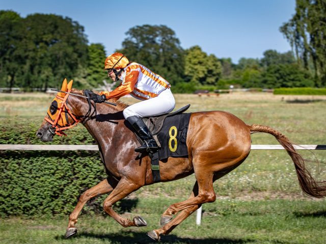 Prix de Mortain : quels chevaux dominent et quelles sont leurs cotes ?