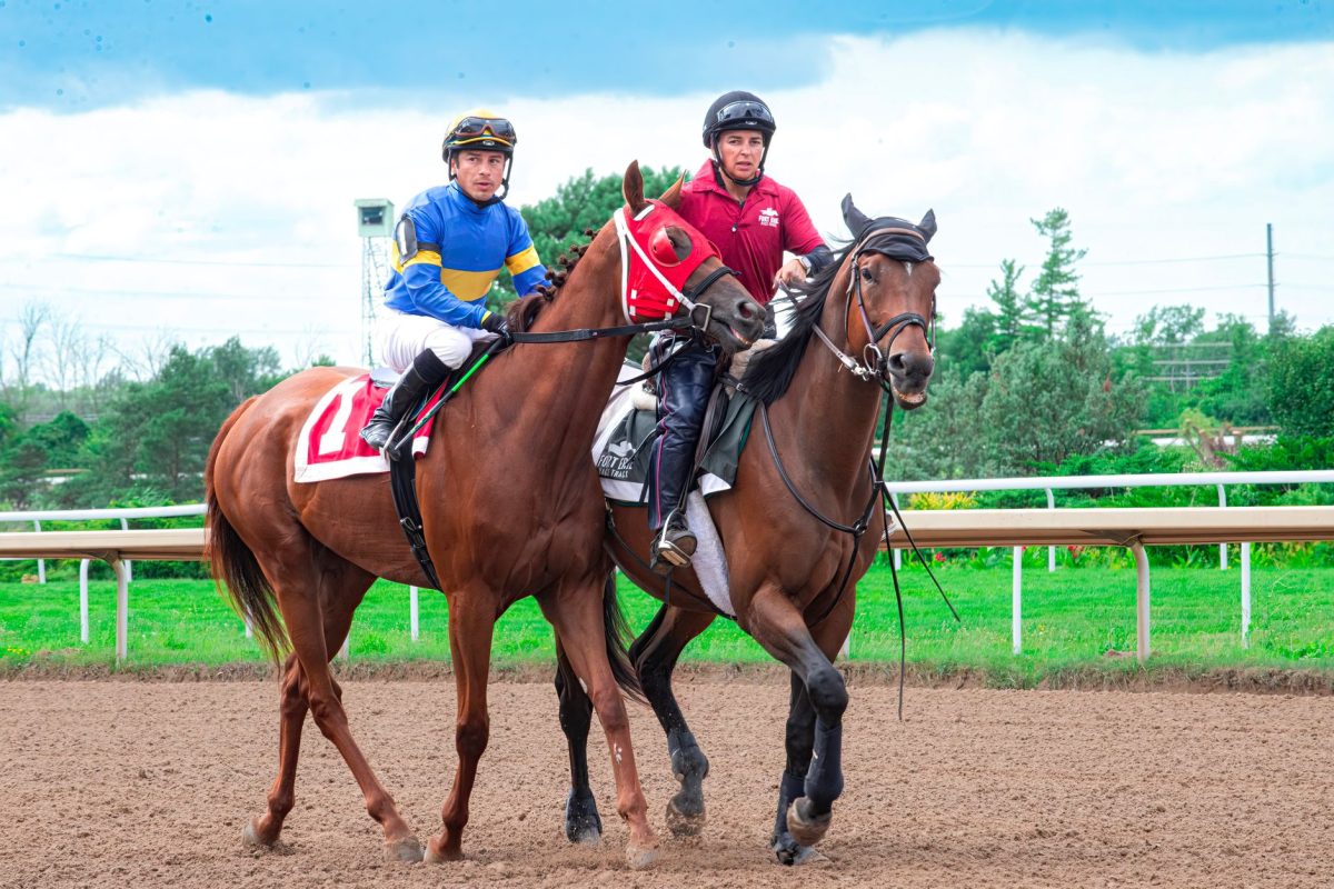 Les chevaux à suivre aujourd’hui pour maximiser vos gains