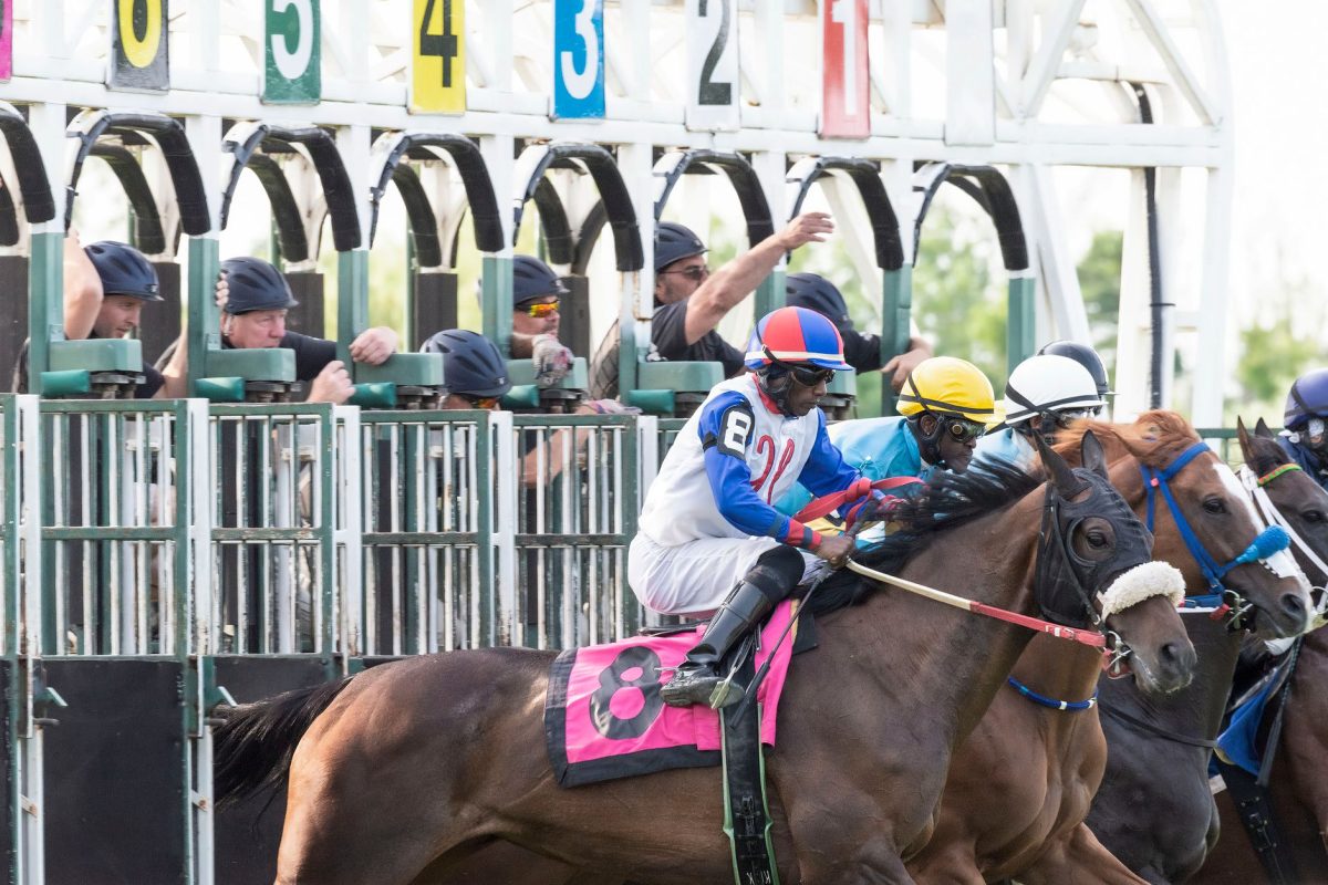 Prix Eucharis 2026 : les outsiders qui pourraient tout bouleverser
