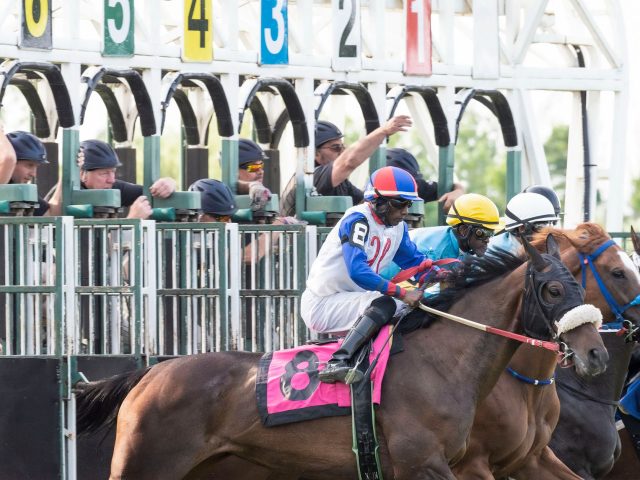 Prix Eucharis 2026 : les outsiders qui pourraient tout bouleverser