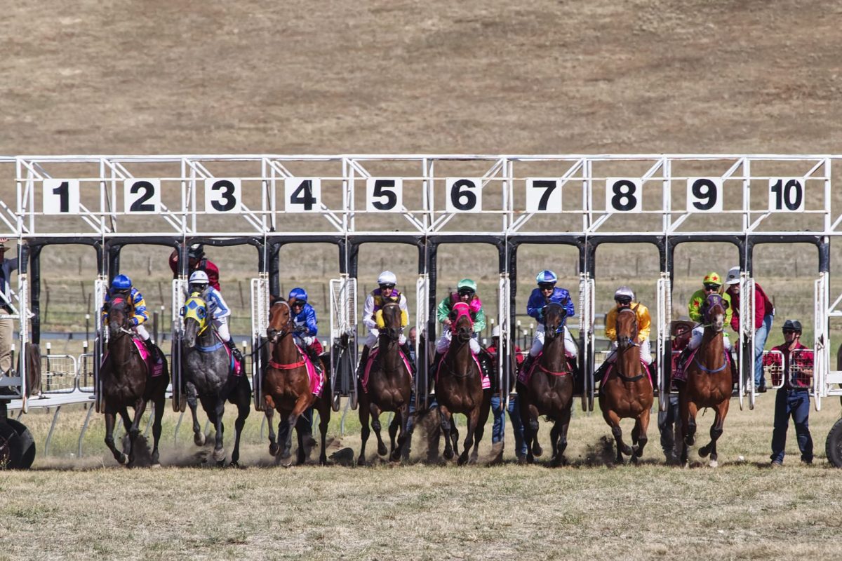 Les chevaux à surveiller pour le Grand National du Trot d’Argentan : qui sont les véritables favoris ?