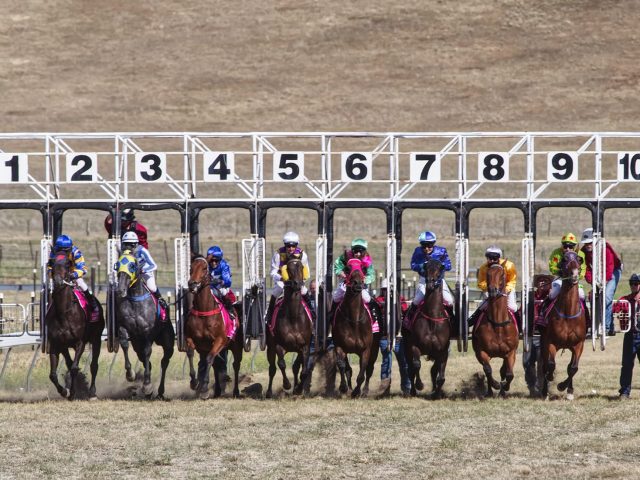 Les chevaux à surveiller pour le Grand National du Trot d’Argentan : qui sont les véritables favoris ?