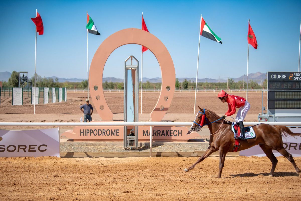 Les chevaux méconnus qui pourraient briller au Prix Austria