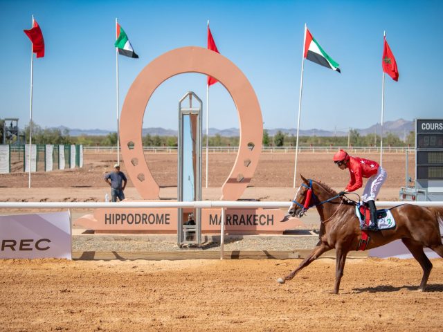 Les chevaux méconnus qui pourraient briller au Prix Austria