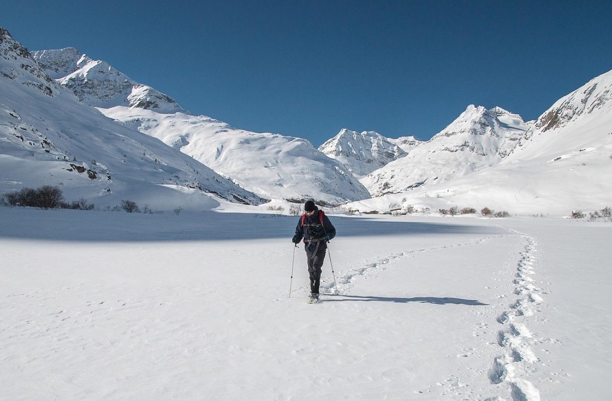 Meilleures chaussures de trail pour stabilité : comparatif et
