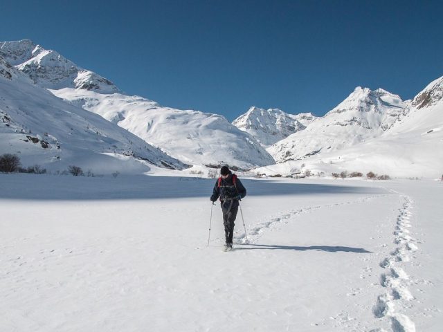 Meilleures chaussures de trail pour stabilité : comparatif et